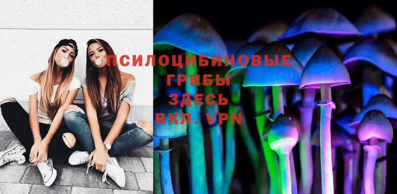 Псилоцибиновые грибы Magic Shrooms  Ангарск 